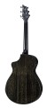 breedlove-guitars-eco-collection-CONCERT-BLACK-GOLD-ba-scaled.jpg