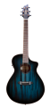 eco-collection-CONCERT-PAPILLON-acoustic-guitar-front-.png