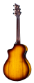 big_breedlove-eco-collection-guitars-COMPANION-TIGERS-EYE-ba.png