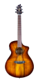 breedlove-eco-collection-guitar-CONCERT-TIGERS-EYE-f.png
