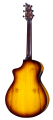 breedlove-eco-collection-guitar-CONCERT-TIGERS-EYE-ba.png
