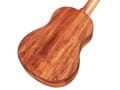 GUCLCOR-04125_Product-Photo_35T_Back-Angle.webp