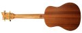 mari-tenor-back1.webp