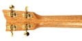 mari-tenor-neck.webp