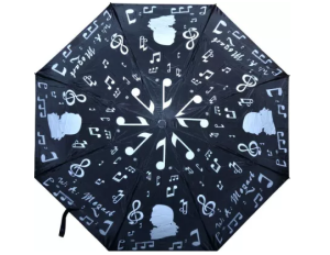 Ruby MG 133 - parasol