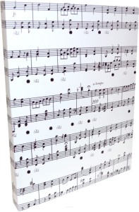 Ruby MG 43D - teczka