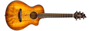 Breedlove PURSUIT EXOTIC COMPANION PRAIRIE BURST CE