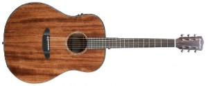 Breedlove Dreadnought E Mahaogny Mahagony - gitara elektro-akustyczna