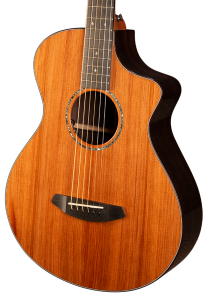 Breedlove PREMIER CONCERTINA CE Redwood - East Indian Rosewood