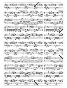 Ruby F1046 Teczka A4