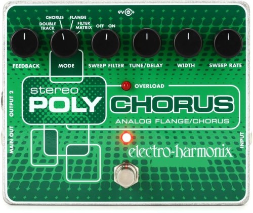 StPolychorus-large.jpg