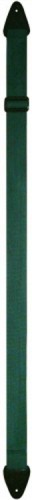 Pasek-do-Gitary-Perri-s-95-2-Nylon-Green.jpg