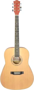 Chateau F120 - gitara akustyczna