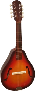 KG CX S129 - mandolina