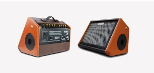 Aroma AG 25A - kombo akustyczne 25W
