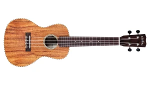 Cordoba 25C Concert