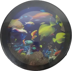 Dragon's Drums DD316D - ocean drum 16"