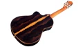 55FCE-Ltd.-Negra-Ziricote_Highlight_detail2-1755x998.jpg