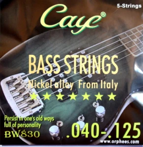 Caye BW830 40-125 - struny do gitary basowej