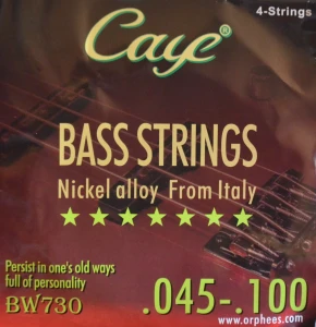 Caye BW730 45-100 - struny do gitary basowej