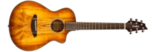 Breedlove PURSUIT EXOTIC COMPANION PRAIRIE BURST CE