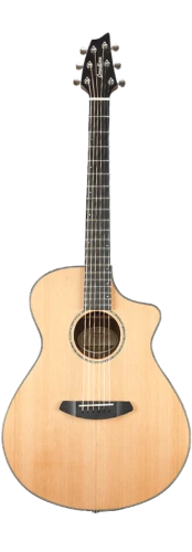 br1a.png