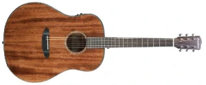 Breedlove Dreadnought E Mahaogny Mahagony - gitara elektro-akustyczna