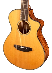 Breedlove PURSUIT COMPANION CE
