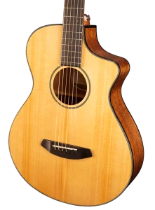 Breedlove DISCOVERY CONCERTINA CE