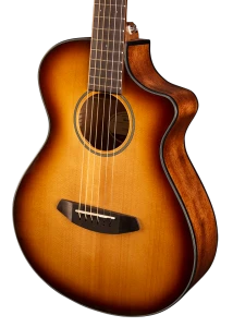 Breedlove DISCOVERY COMPANION CE SUNBURST