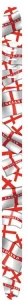  Perri's 580 2.5" High Res Flags - pasek do gitary