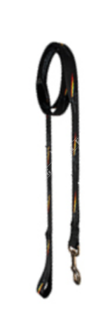 pf01leash.png