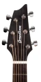 RAINFOREST_HEADSTOCK-A-F-scaled.jpg