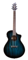 eco-collection-CONCERT-PAPILLON-acoustic-guitar-front-.png