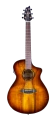 breedlove-eco-collection-guitar-CONCERT-TIGERS-EYE-f.png