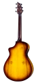 breedlove-eco-collection-guitar-CONCERT-TIGERS-EYE-ba.png