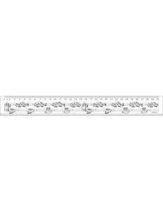 Ruby R1030 Linijka 30 cm - linijka