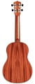 GUCLCOR-04105_Product-Photo_30T_Back.webp