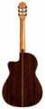 05415_Product-Photo_Orchestra-CE-Teardrop-Burst_Back.webp