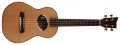 coco-close-up (1).webp